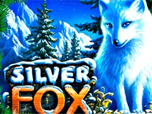 Азартная игра Silver Fox играть